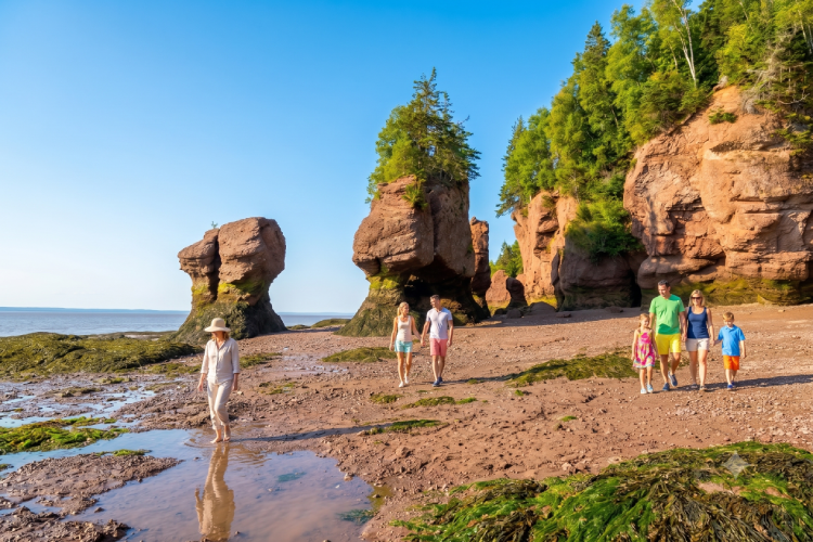 Hopewell Rocks